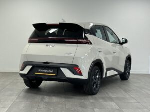 BYD DOLPHINSURF - financial lease – Leaseprijzen.nl – afbeelding 2