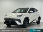 BYD DOLPHINSURF - financial lease – Leaseprijzen.nl – afbeelding 1