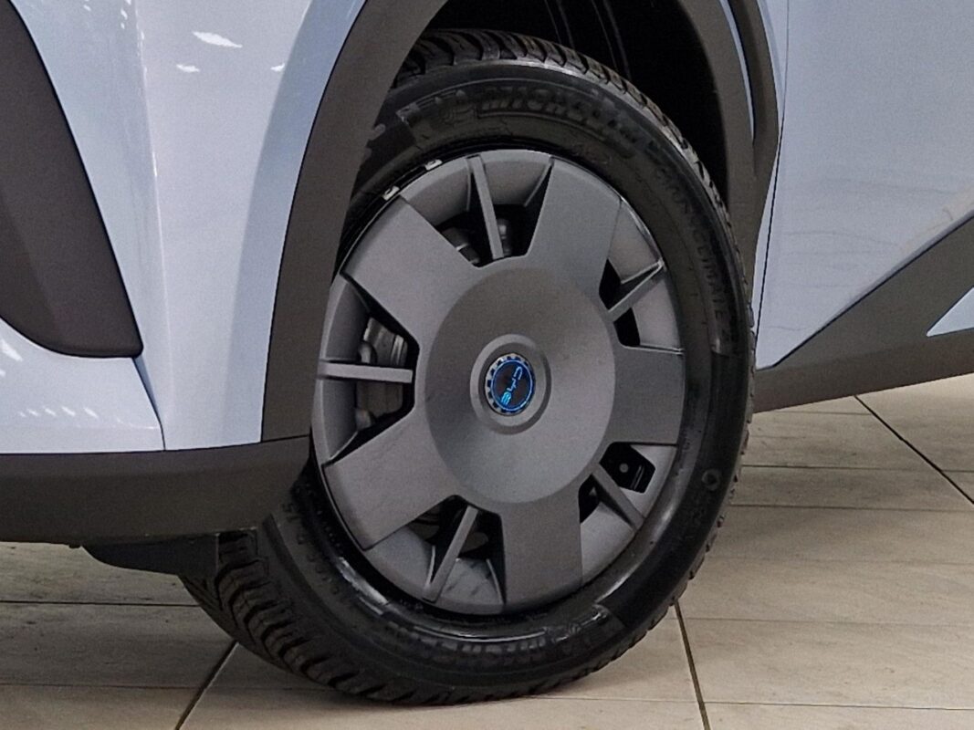 BYD DOLPHINSURF