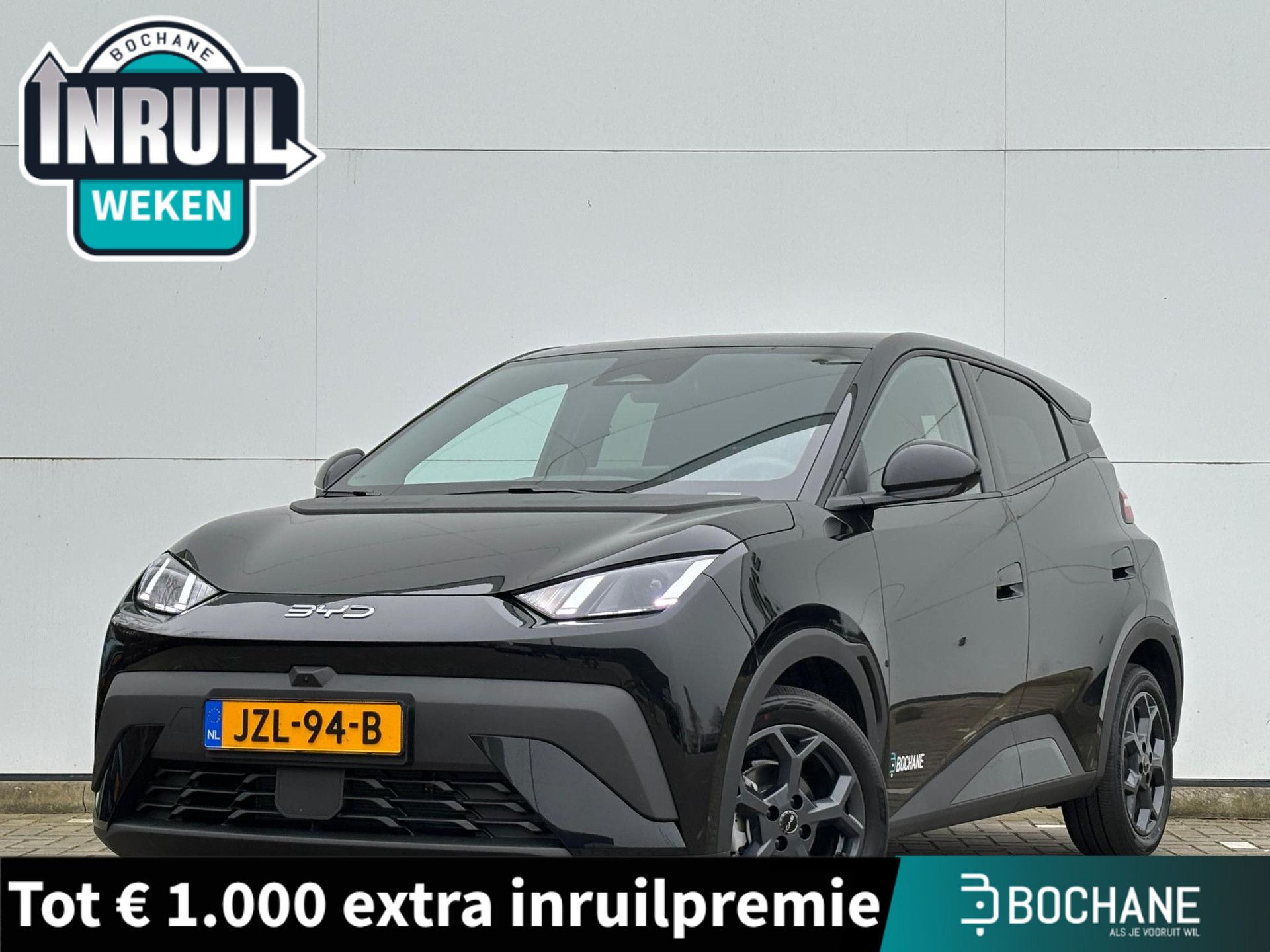 BYD DOLPHINSURF