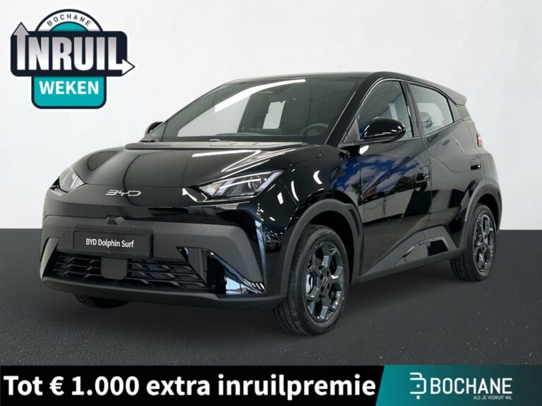 BYD DOLPHINSURF - financial lease