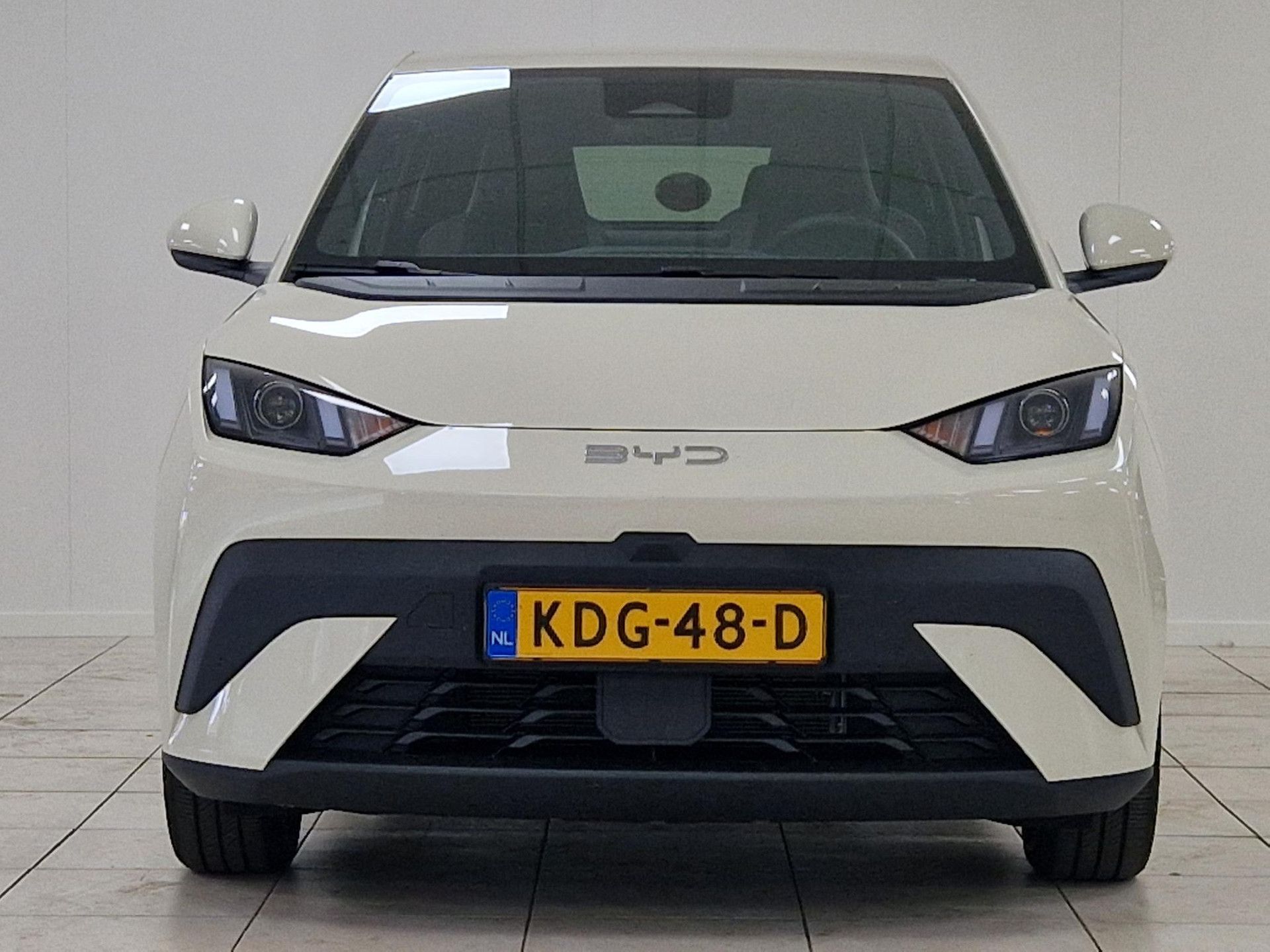 BYD DOLPHINSURF met kenteken KDG-48-D – achteraanzicht