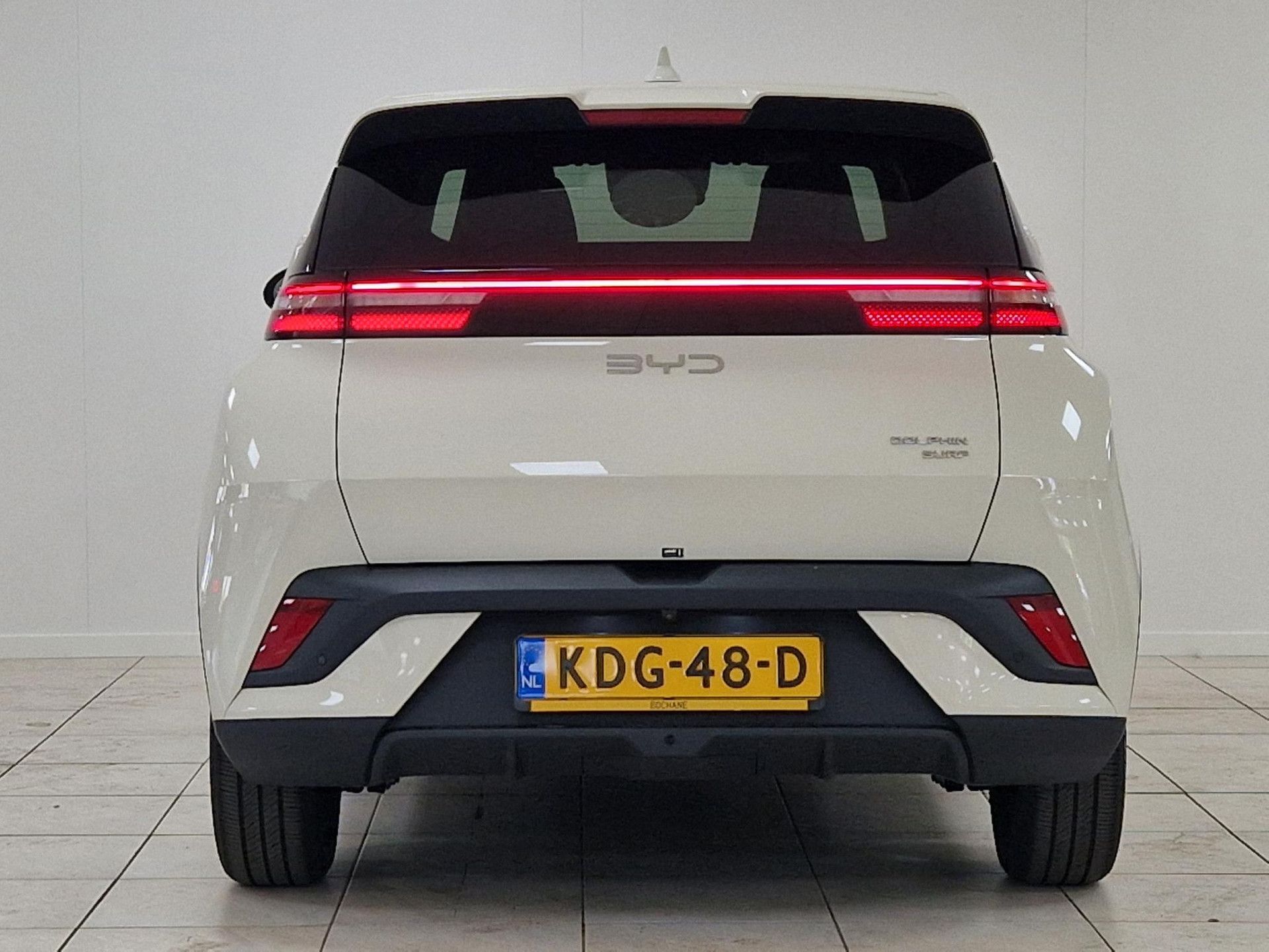 BYD DOLPHINSURF met kenteken KDG-48-D – detailfoto