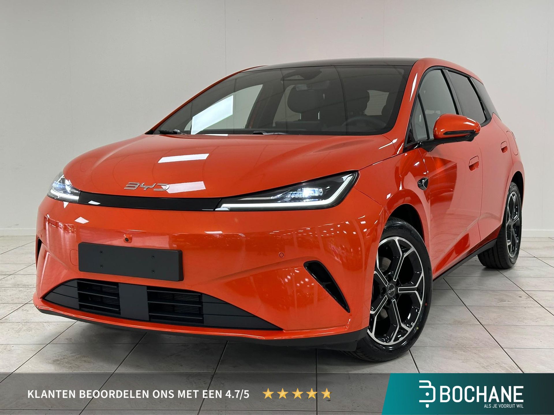 BYD DOLPHIN – vooraanzicht