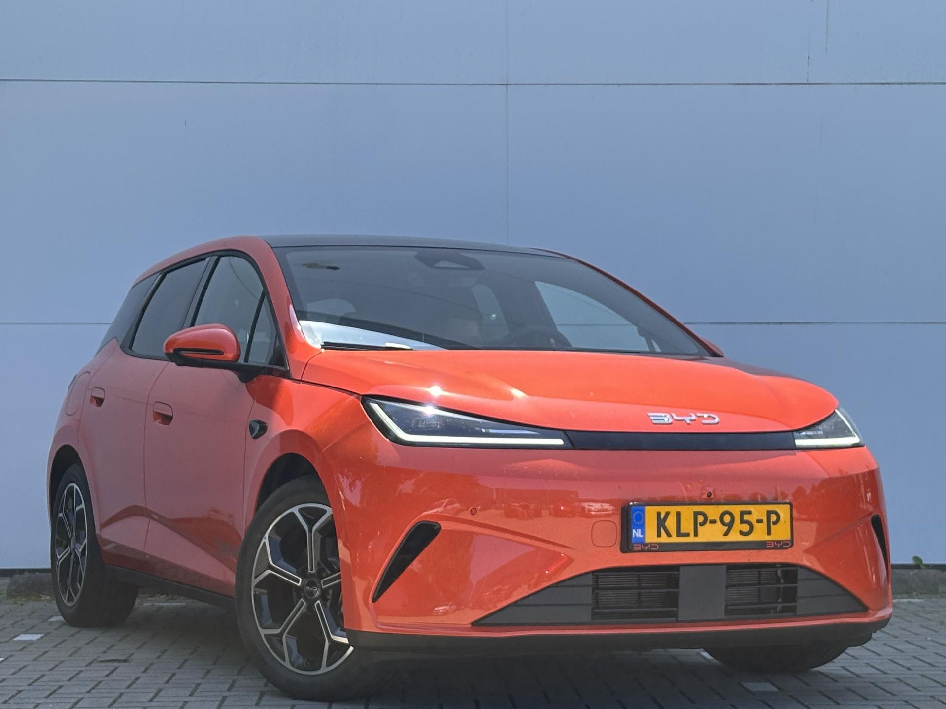 BYD DOLPHIN met kenteken KLP-95-P – detailfoto