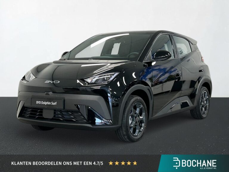 BYD DOLPHINSURF - financial lease