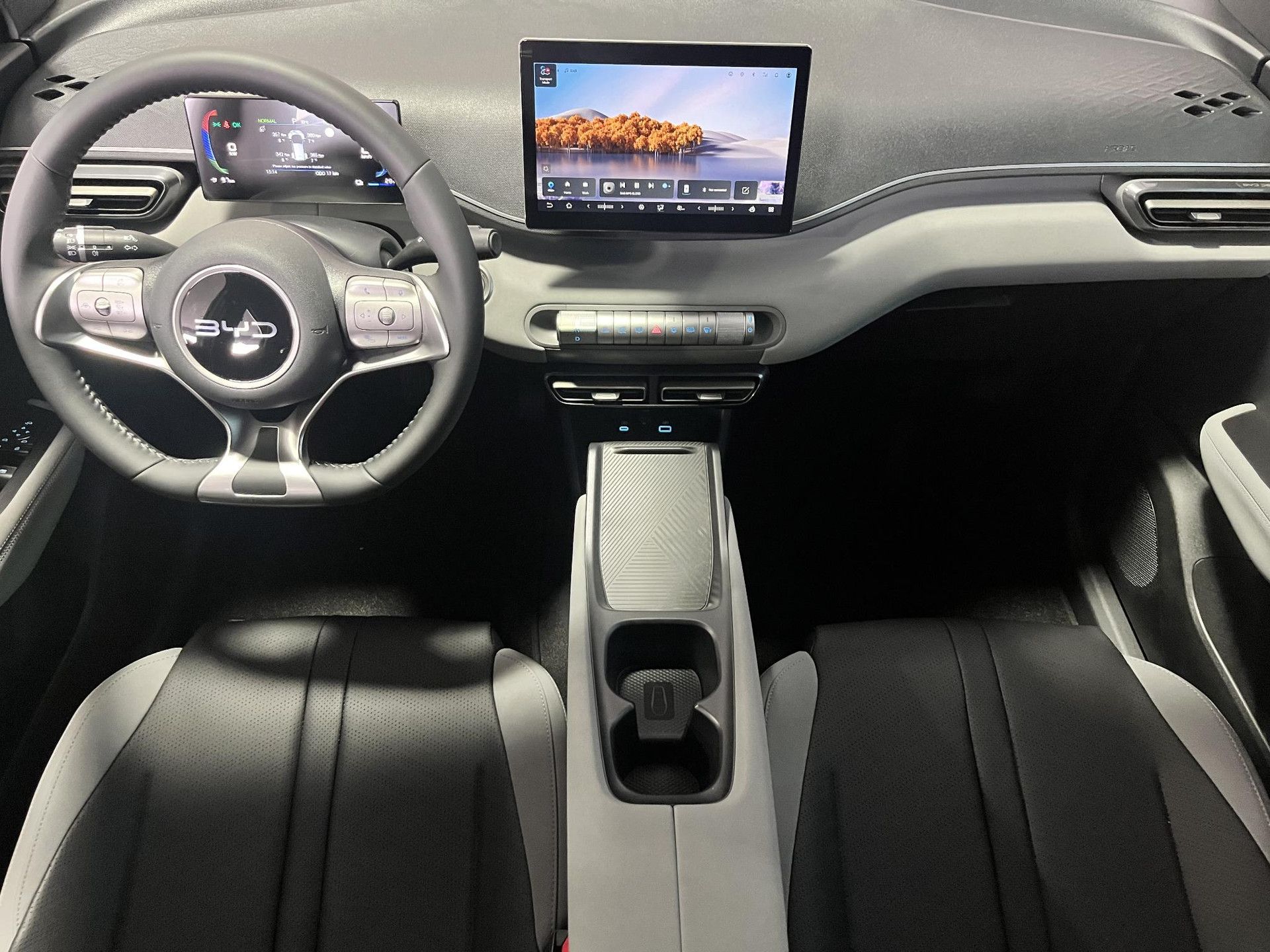 BYD DOLPHINSURF met kenteken KNR-69-R – interieur