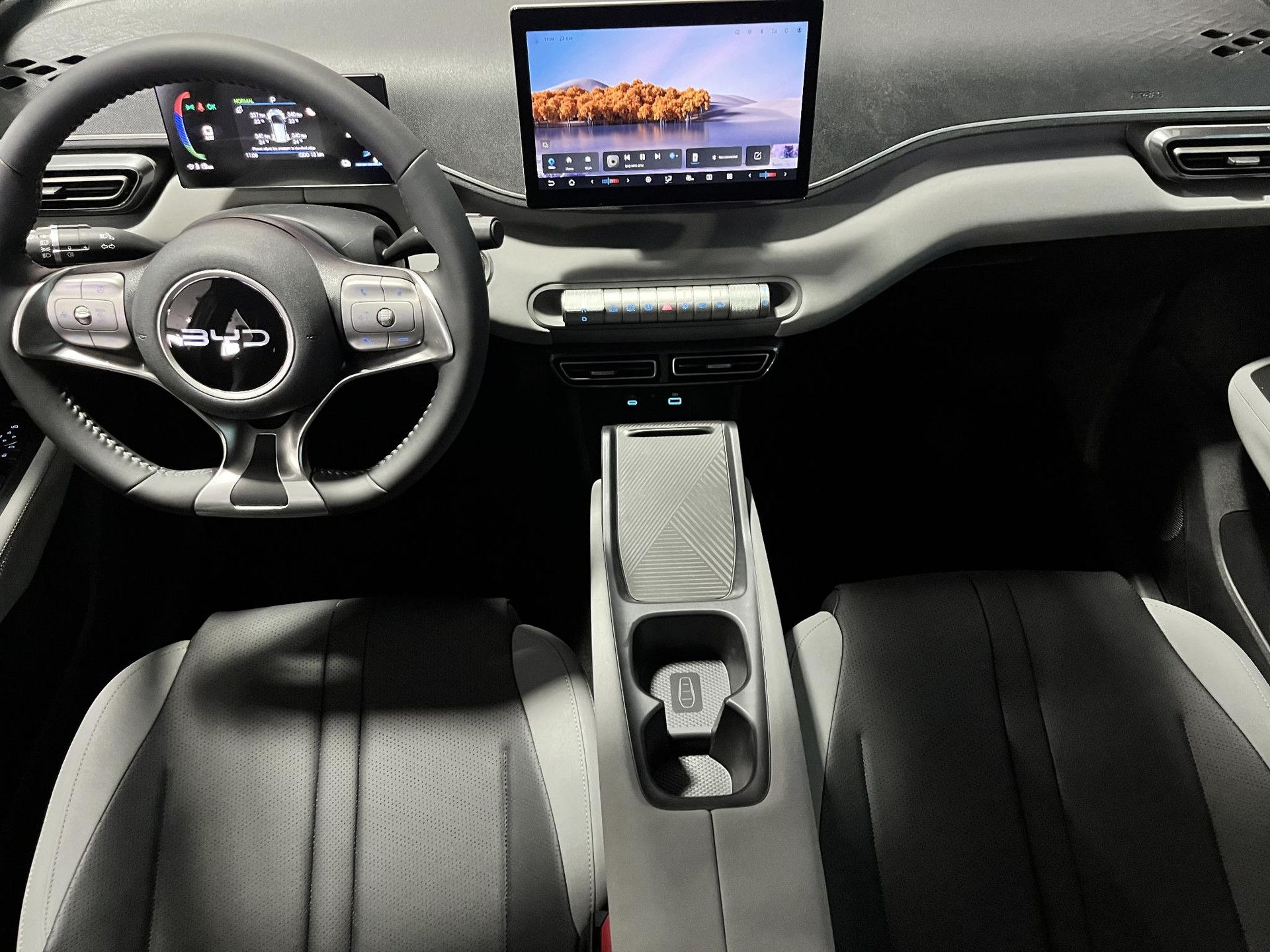 BYD DOLPHINSURF met kenteken KNT-51-F – interieur