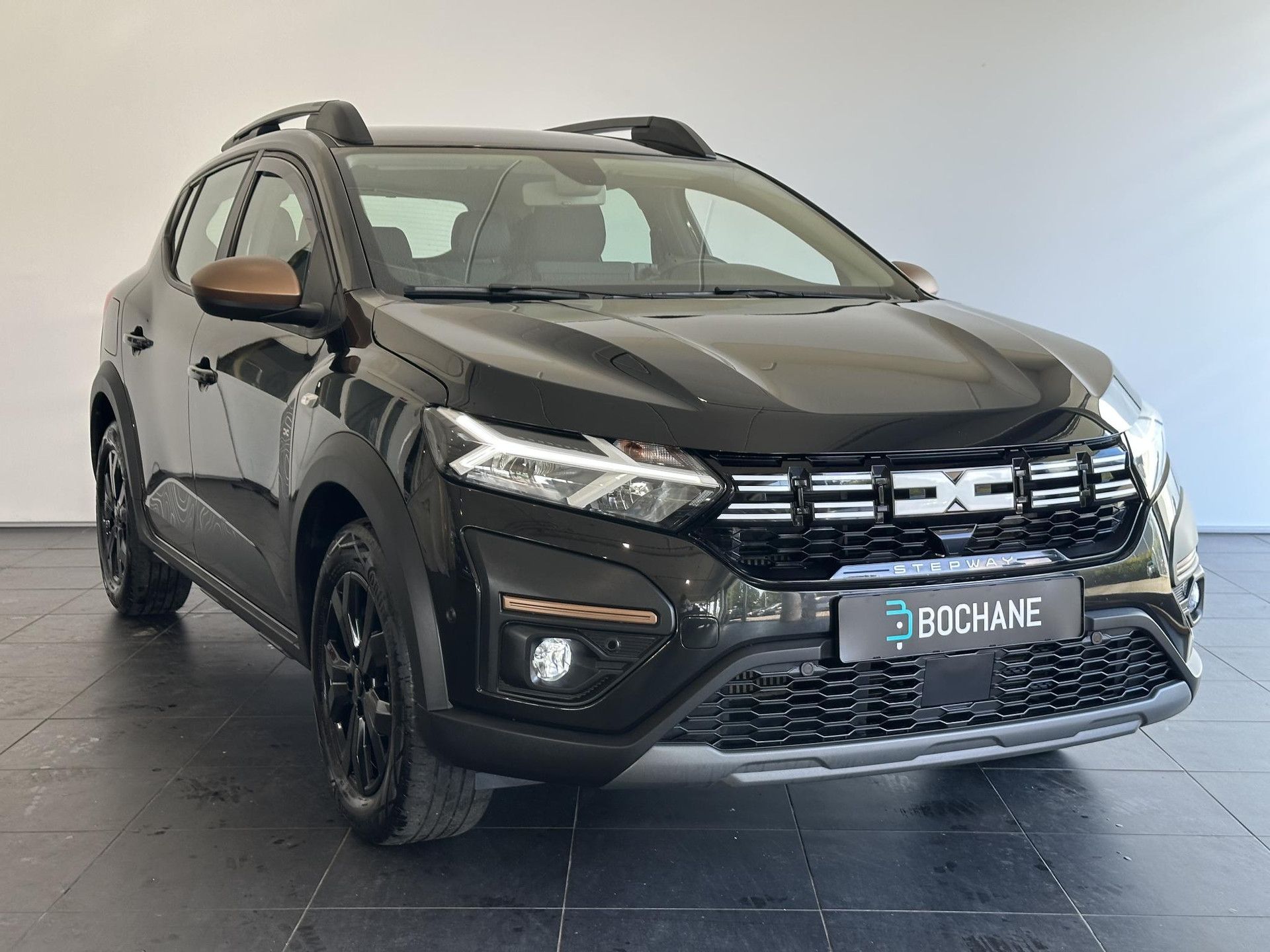 Dacia SanderoStepway met kenteken GLJ-67-N – detailfoto