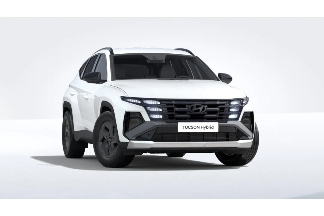 Hyundai Tucson met kenteken 76971 – achteraanzicht
