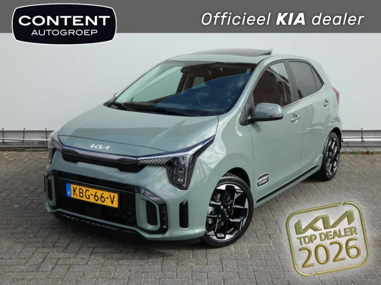 Kia Picanto KBG-66-V financial lease