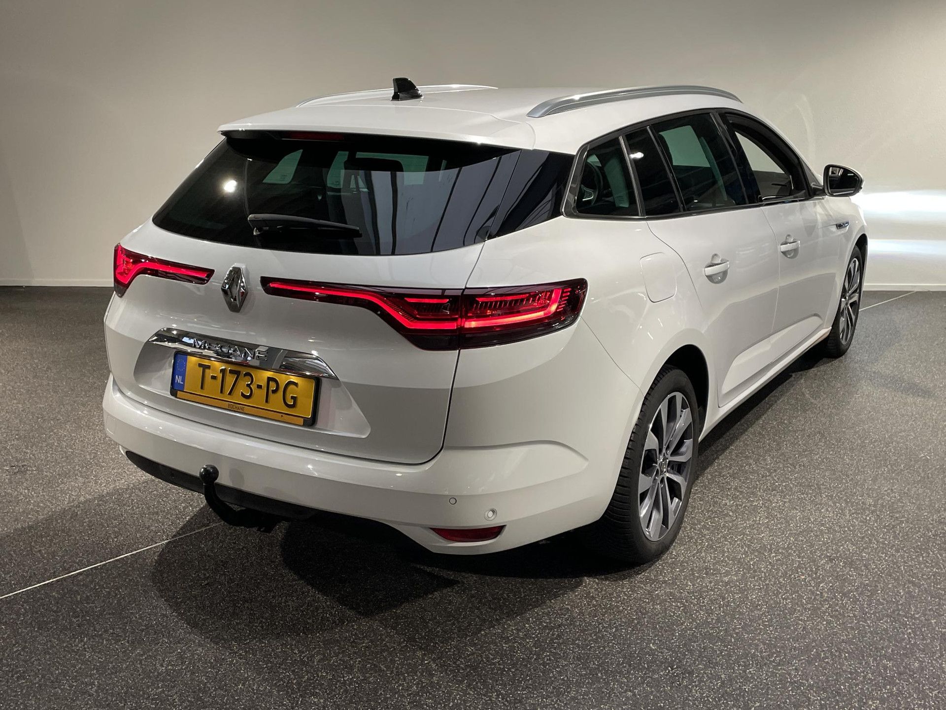 Renault MéganeEstate met kenteken T-173-PG – achteraanzicht