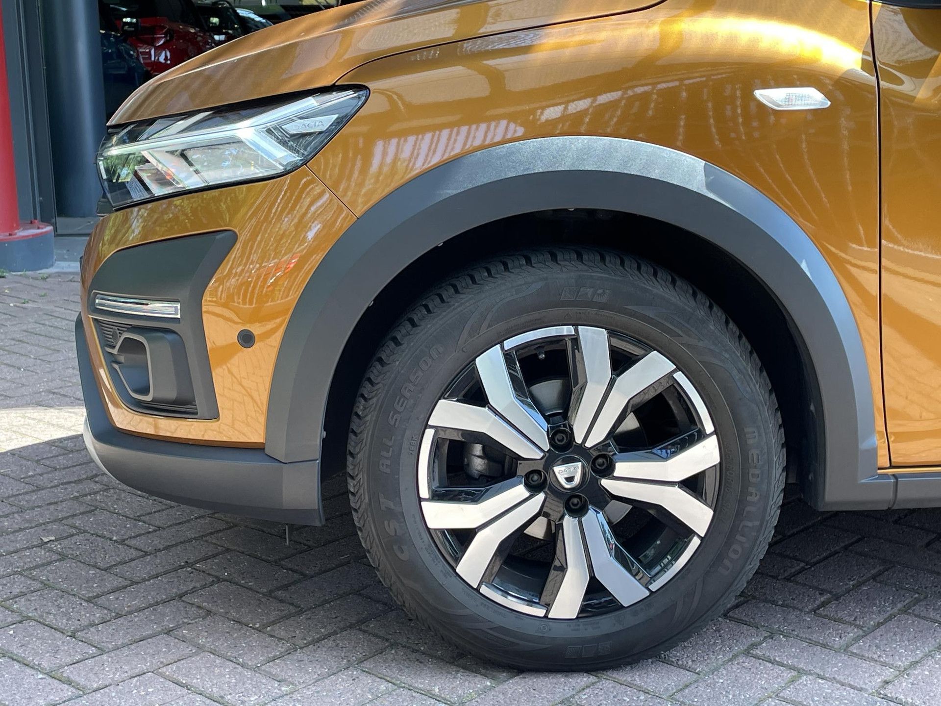 Dacia SanderoStepway met kenteken L-169-KH – detailfoto