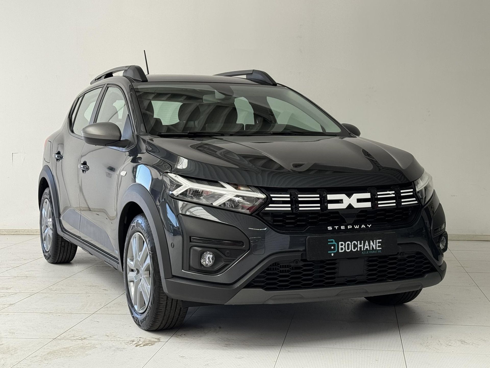 Dacia SanderoStepway met kenteken R-650-ZG – detailfoto