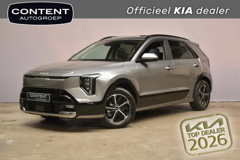 Kia e-Niro #78041 financial lease