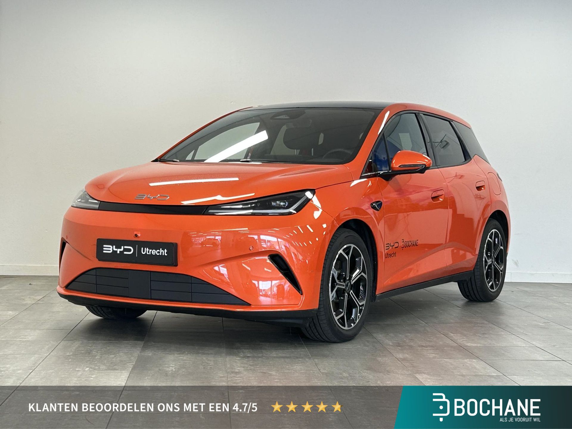 BYD DOLPHIN financial lease