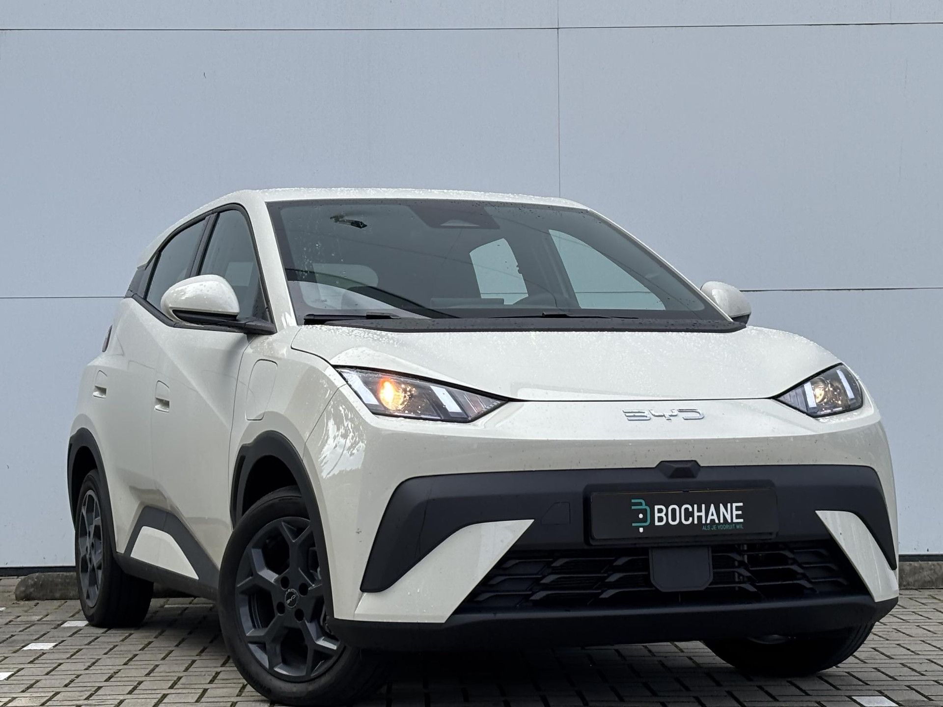 BYD DOLPHINSURF met kenteken KHZ-24-Z – detailfoto