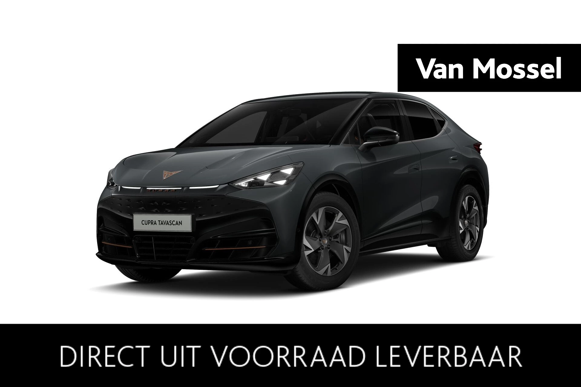 CUPRA Tavascan – autofoto 2