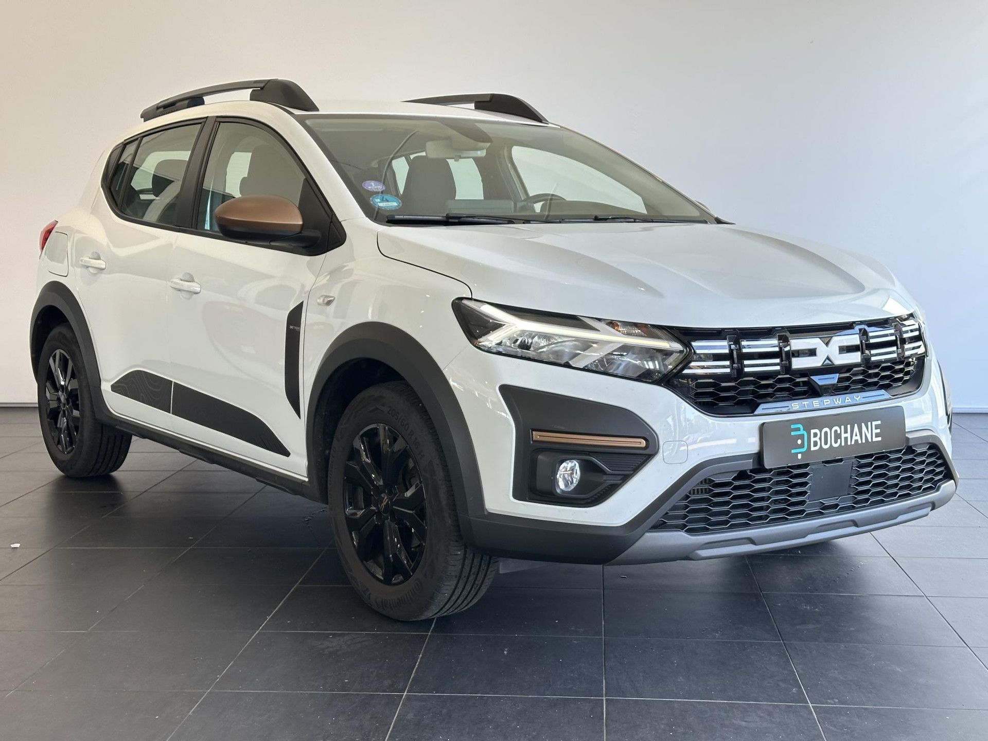 Dacia SanderoStepway met kenteken X-858-FL – detailfoto