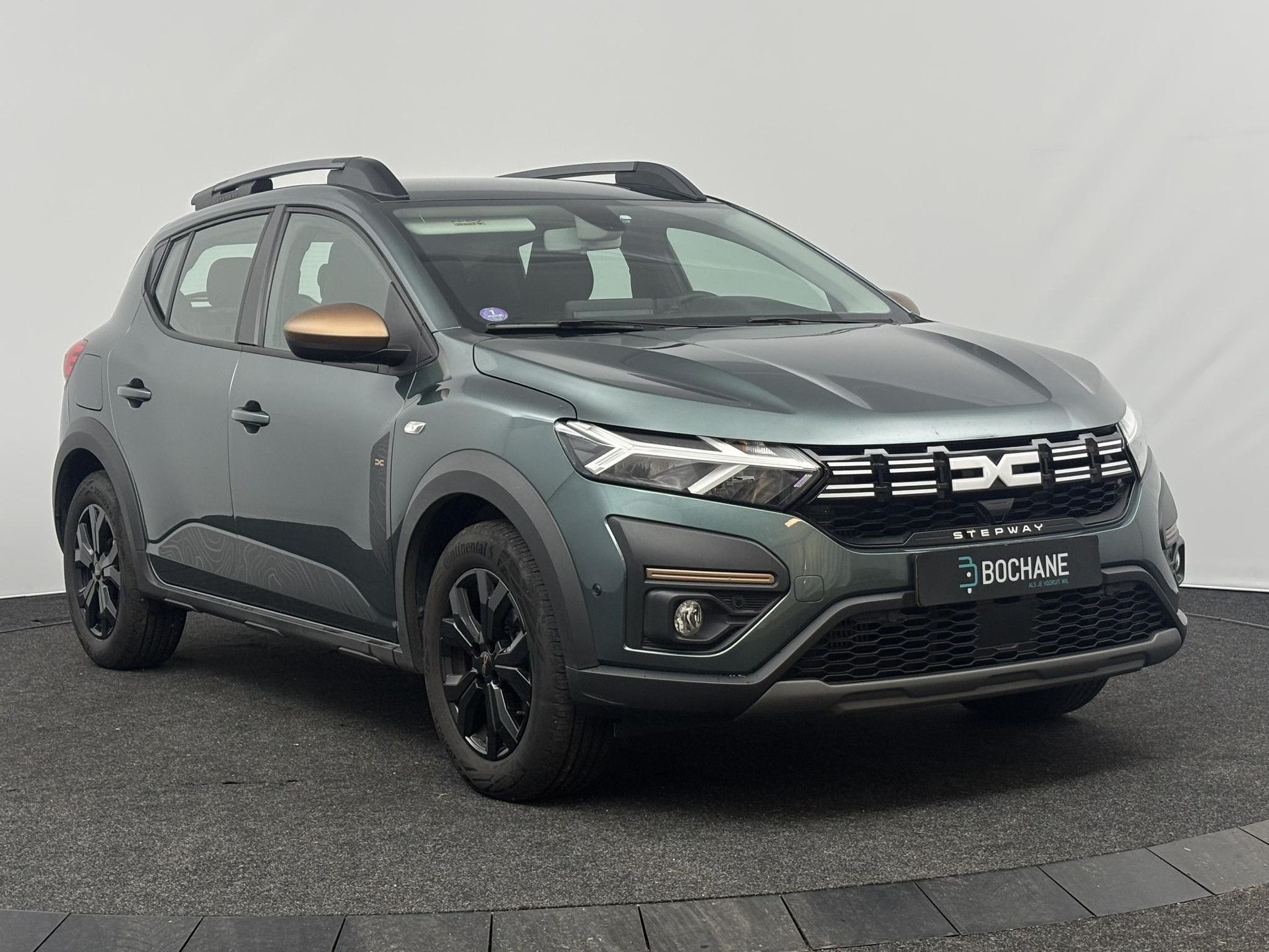 Dacia SanderoStepway met kenteken Z-919-KD – detailfoto