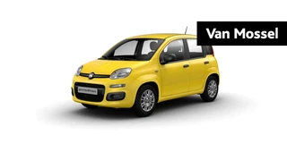 Fiat Pandina financial lease
