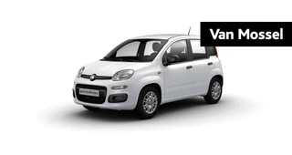 Fiat Pandina financial lease