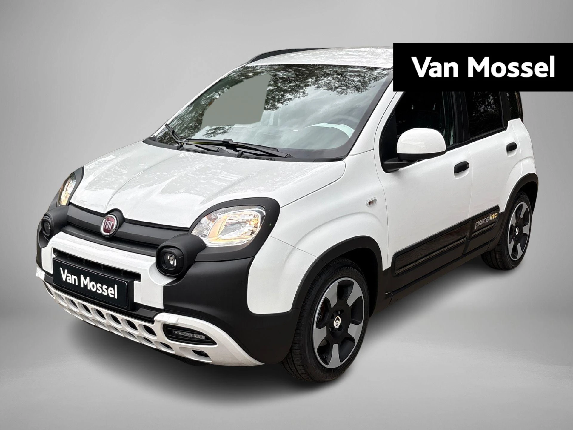 Fiat Pandina – autofoto 2