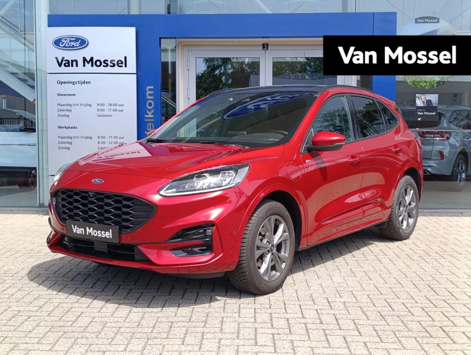 Ford Kuga met kenteken 56 – autofoto 2
