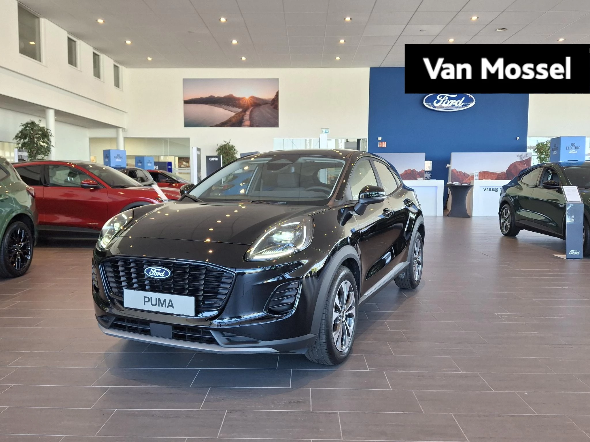 Ford Puma – autofoto 2