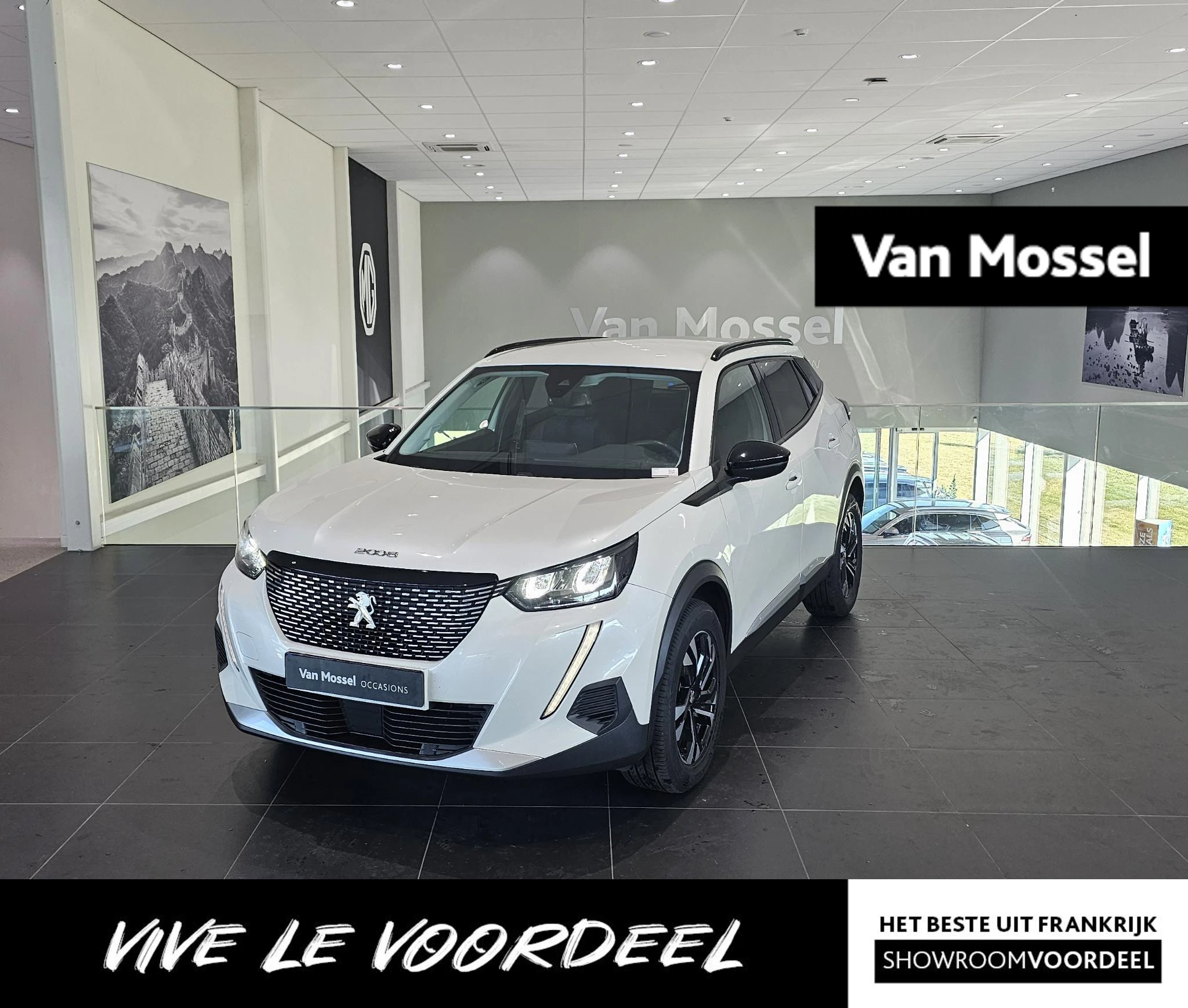 Peugeot 2008 met kenteken P-260-XT – autofoto 2