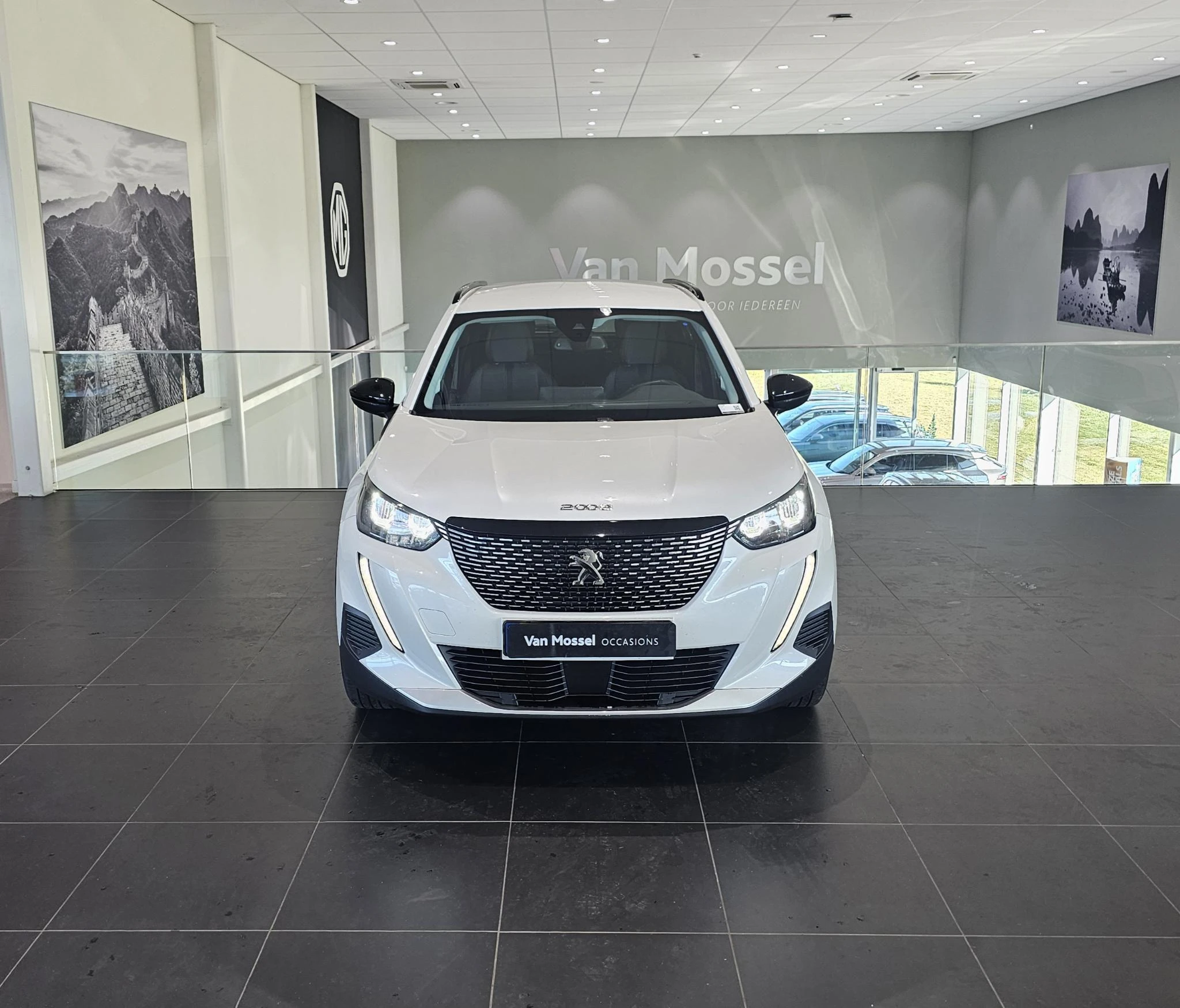 Peugeot 2008 met kenteken P-260-XT – autofoto 5