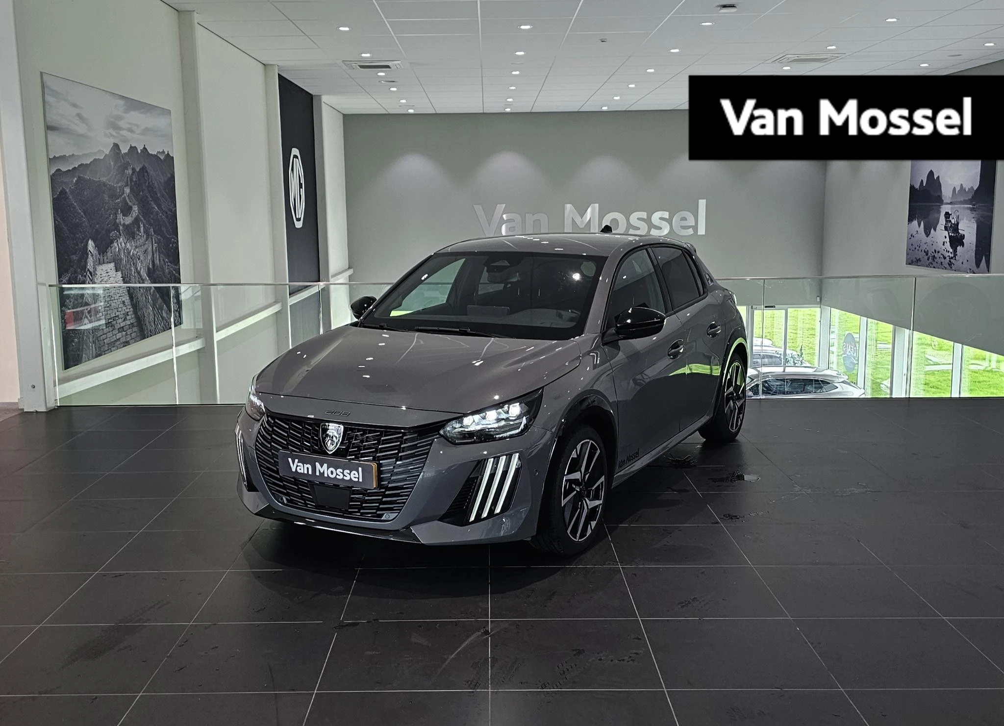 Peugeot 208 financial lease
