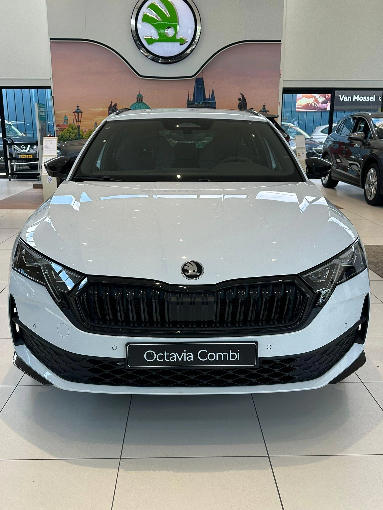 Skoda Octavia – autofoto 4