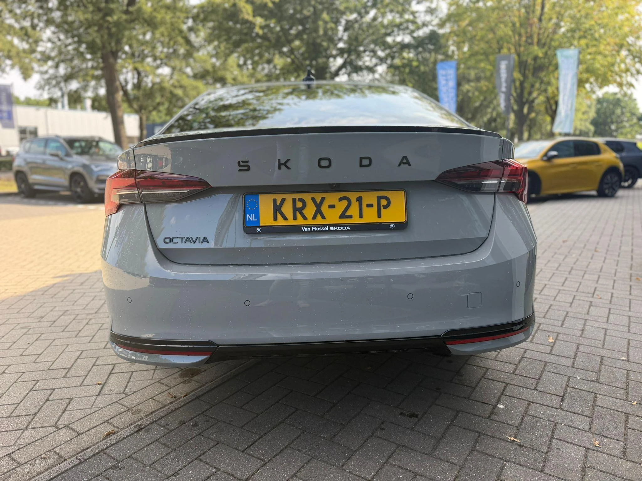 Skoda Octavia – autofoto 5