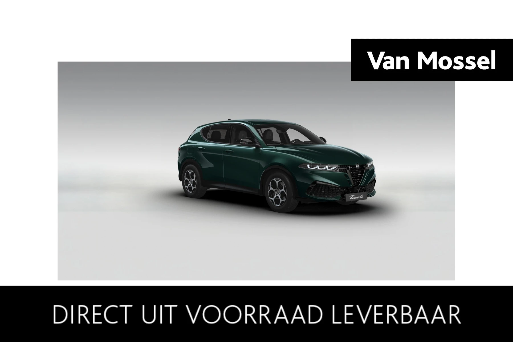 Alfa Romeo RomeoTonale met kenteken 69 – autofoto 2