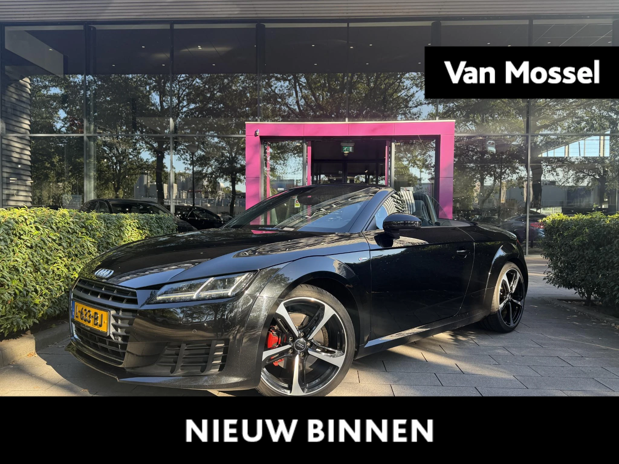 Audi TT met kenteken 60100 – autofoto 2