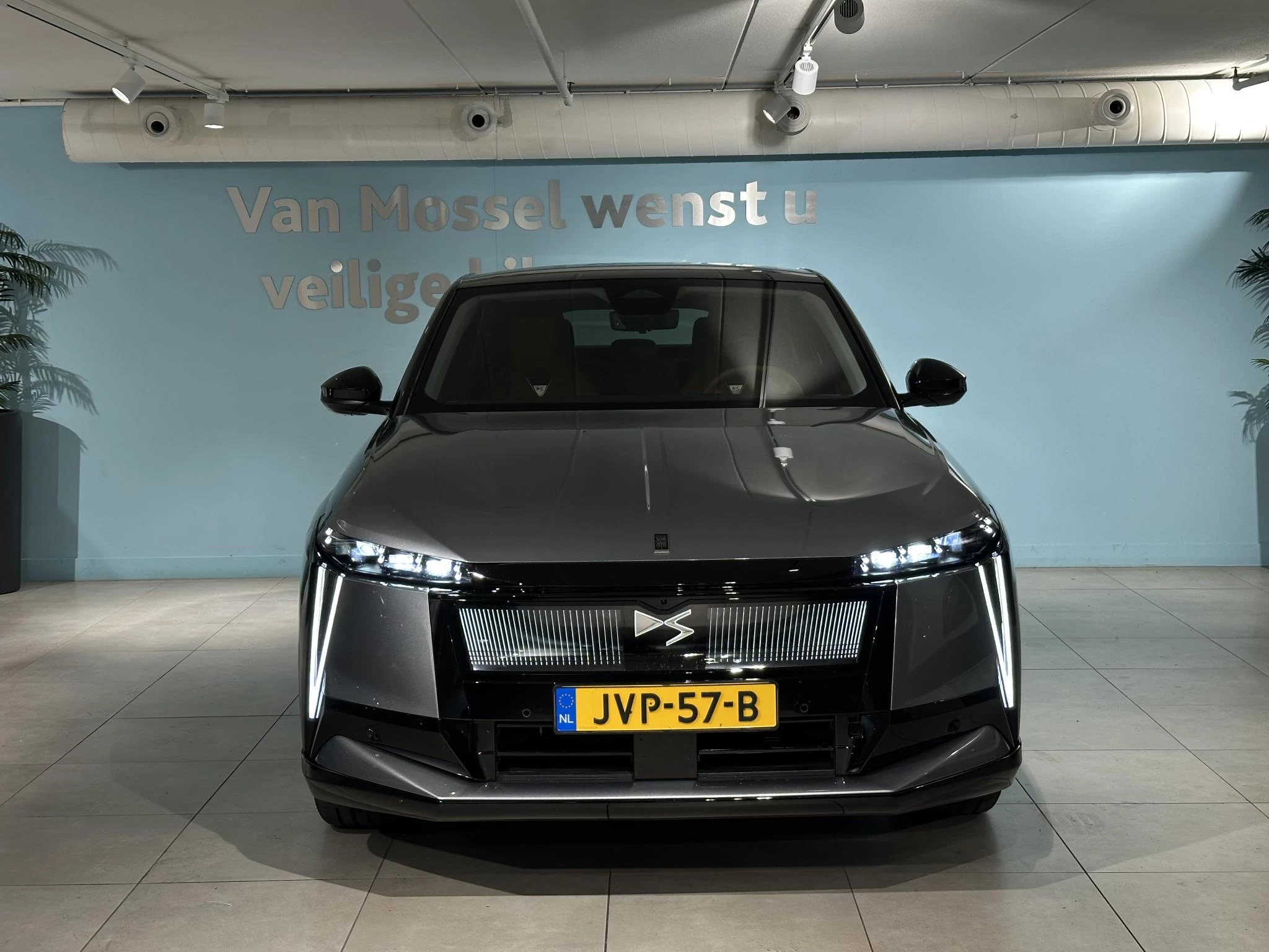 DS No8 – autofoto 5