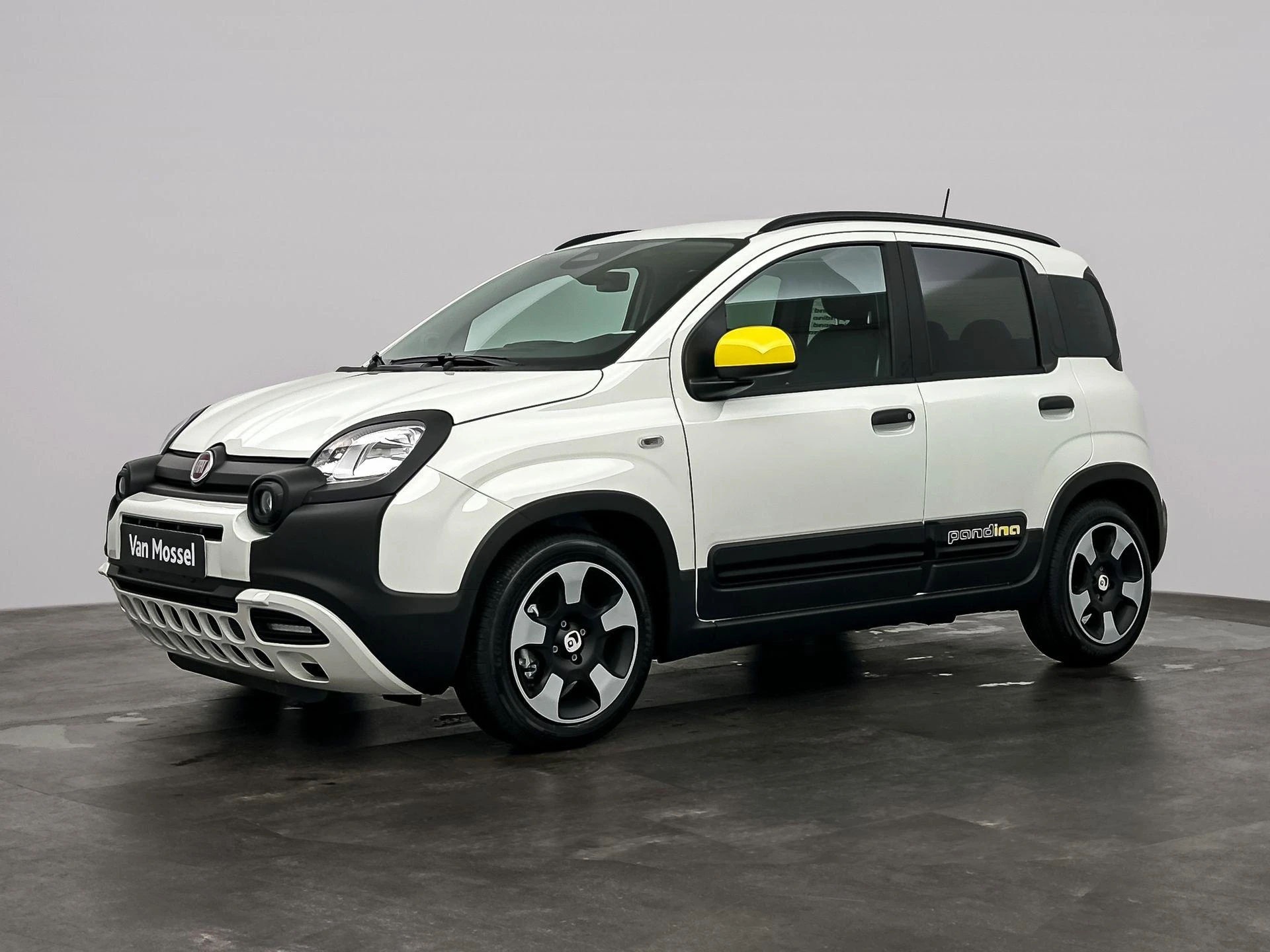 Fiat Panda met kenteken KKG-66-V – autofoto 2