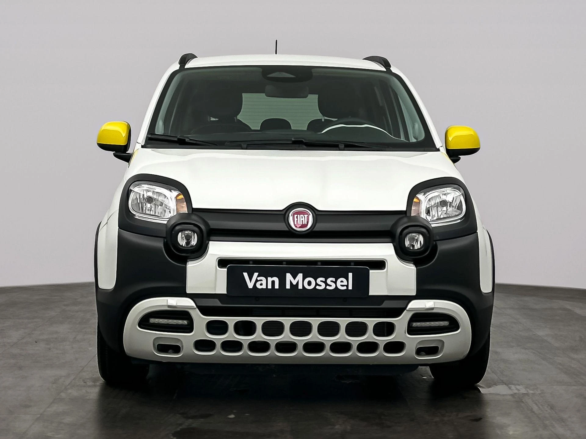 Fiat Panda met kenteken KKG-66-V – autofoto 5