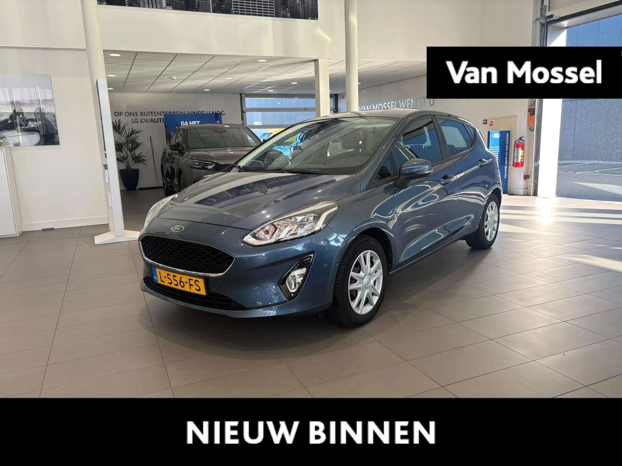 Ford Fiesta met kenteken 50100 – autofoto 2