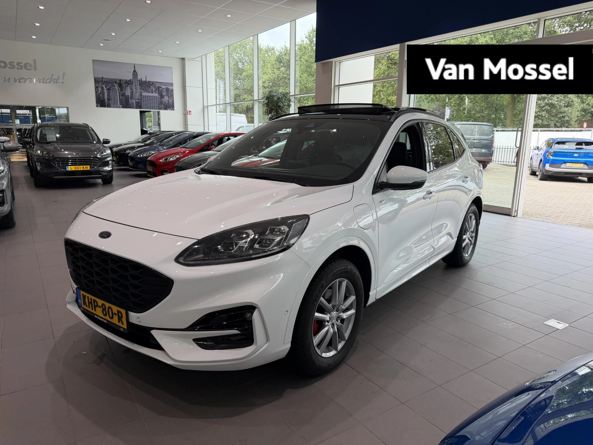 Ford Kuga met kenteken 56 – autofoto 2