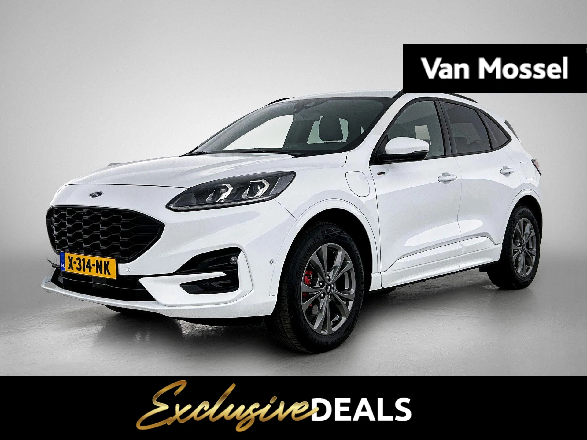 Ford Kuga met kenteken 56 – autofoto 2