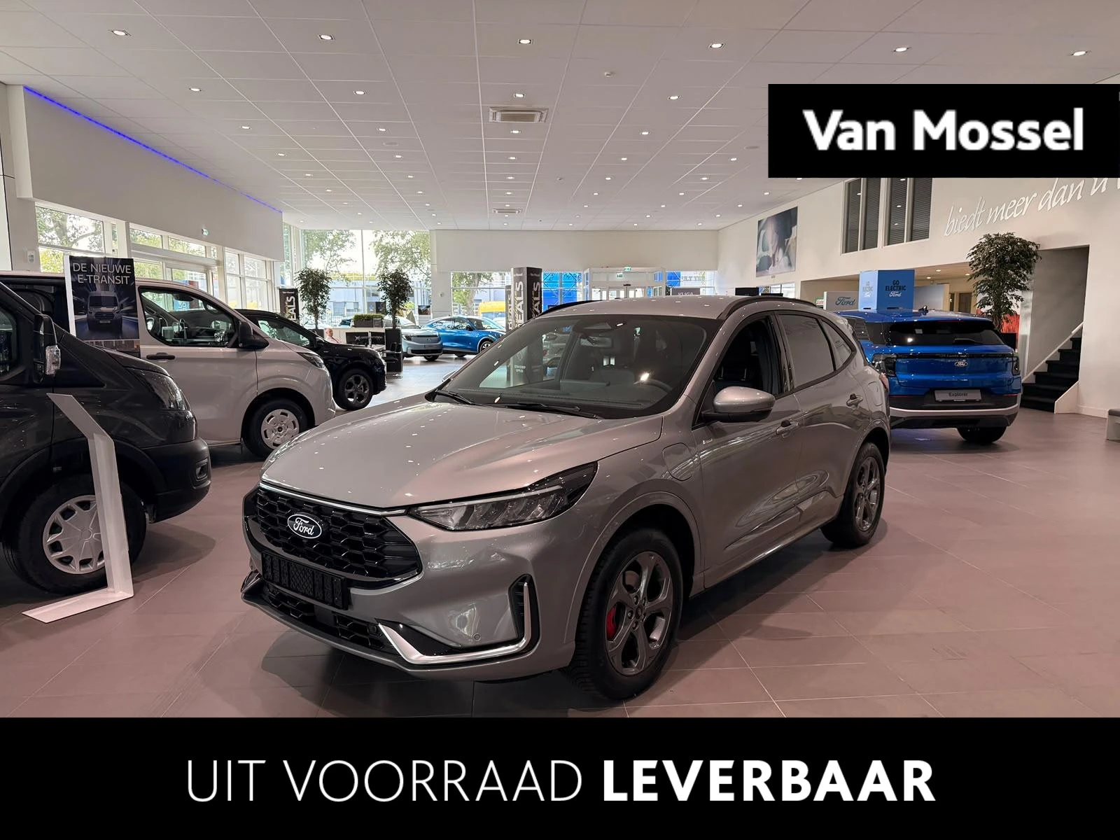Ford Kuga met kenteken 68 – autofoto 2