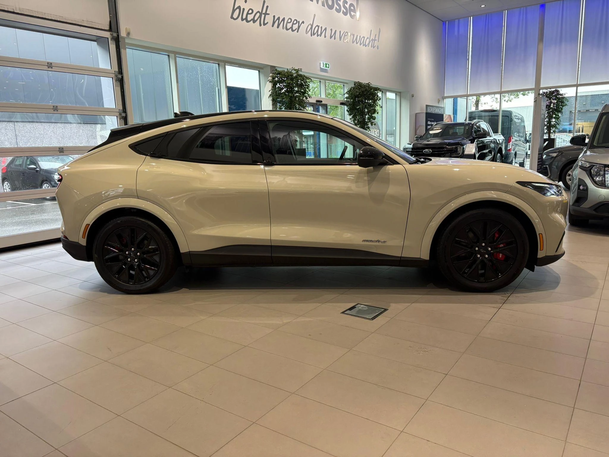 Ford MustangMach-E – autofoto 5