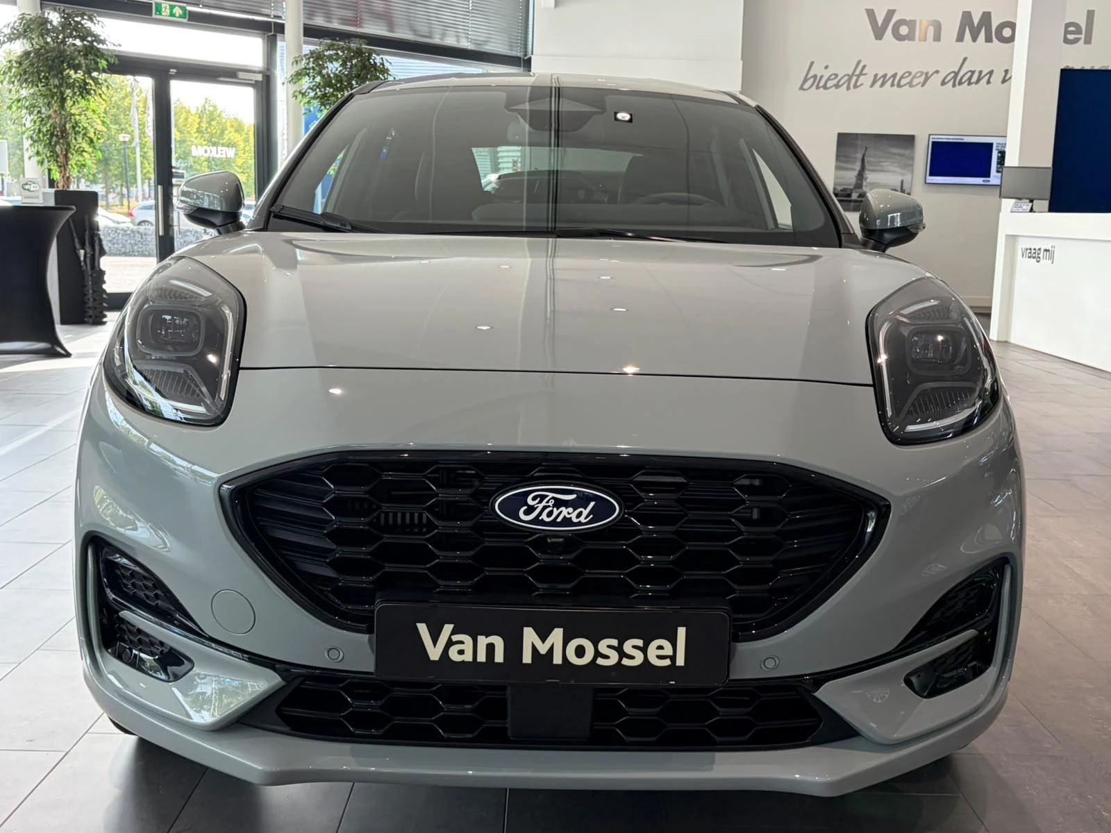 Ford Puma – autofoto 4