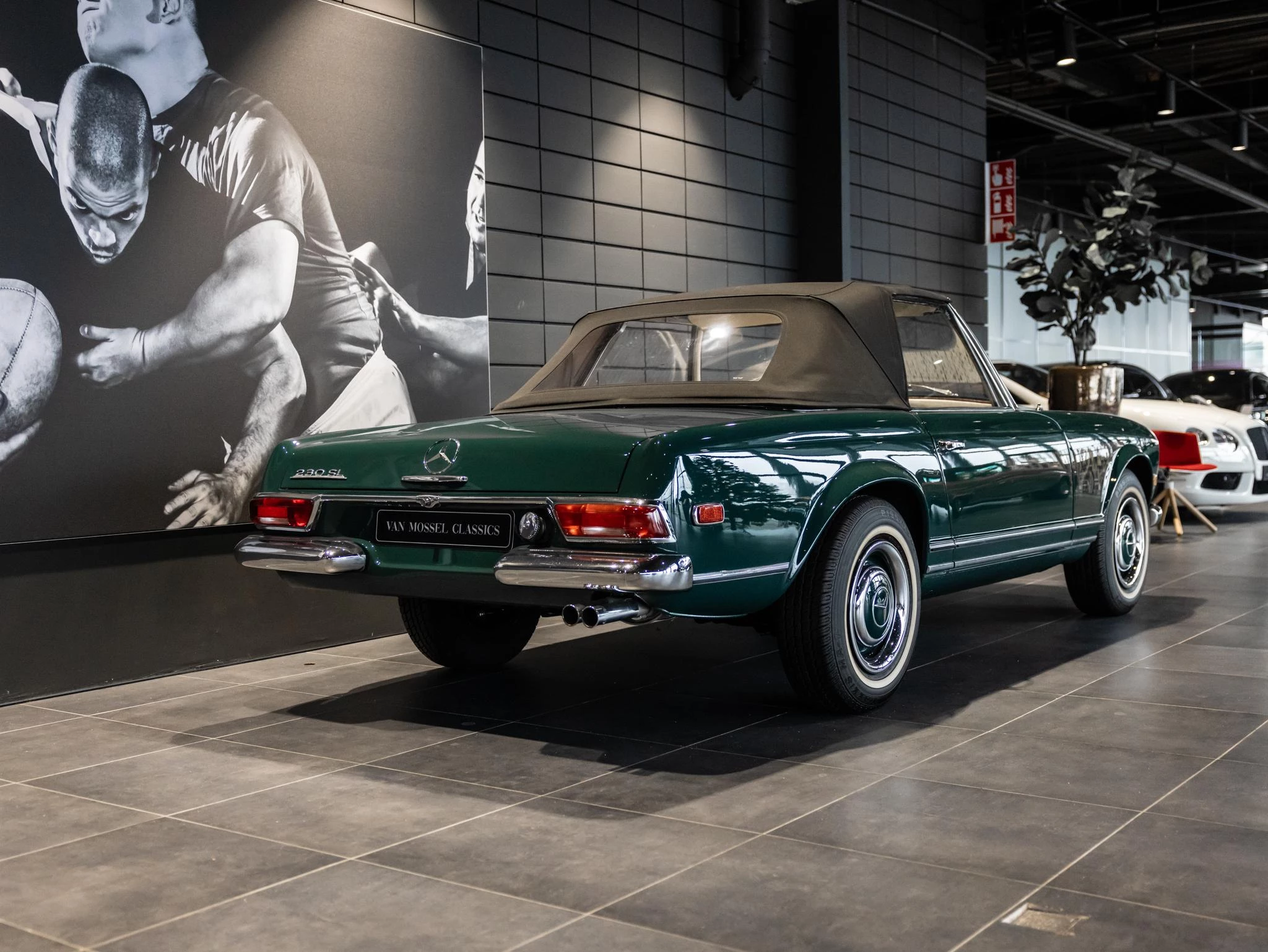 Mercedes-Benz SL – autofoto 5