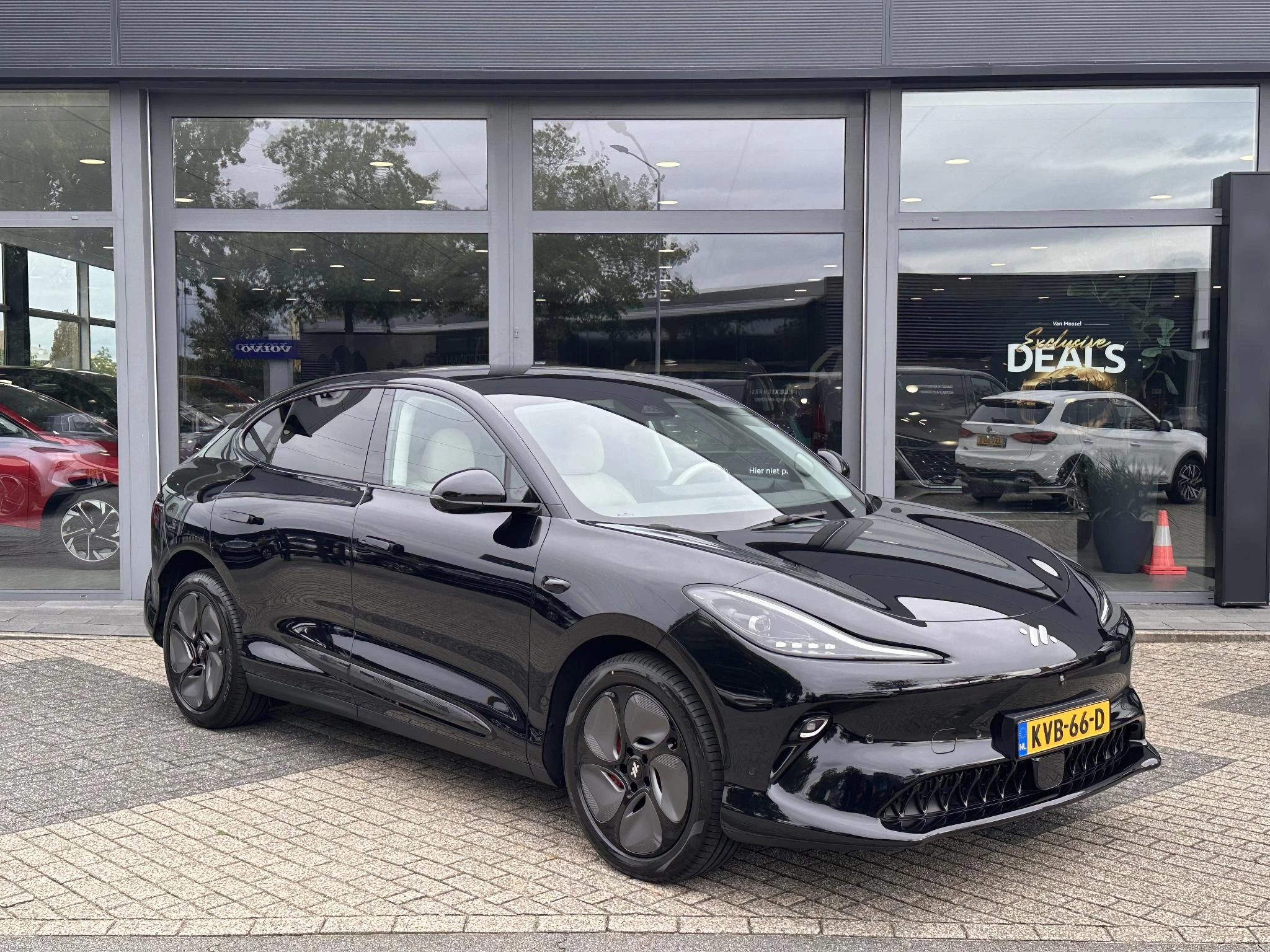 MG MGIM6 – autofoto 2