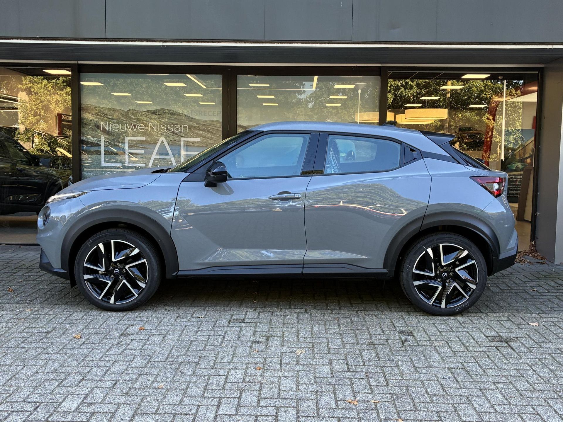 Nissan Juke – autofoto 2