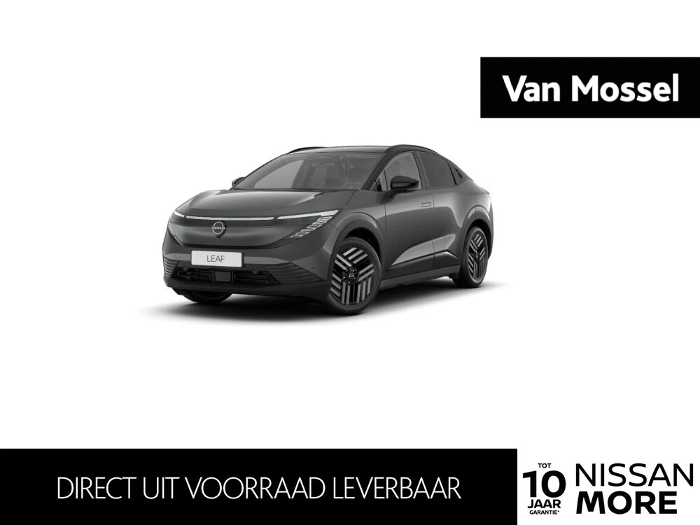 Nissan Leaf – autofoto 2