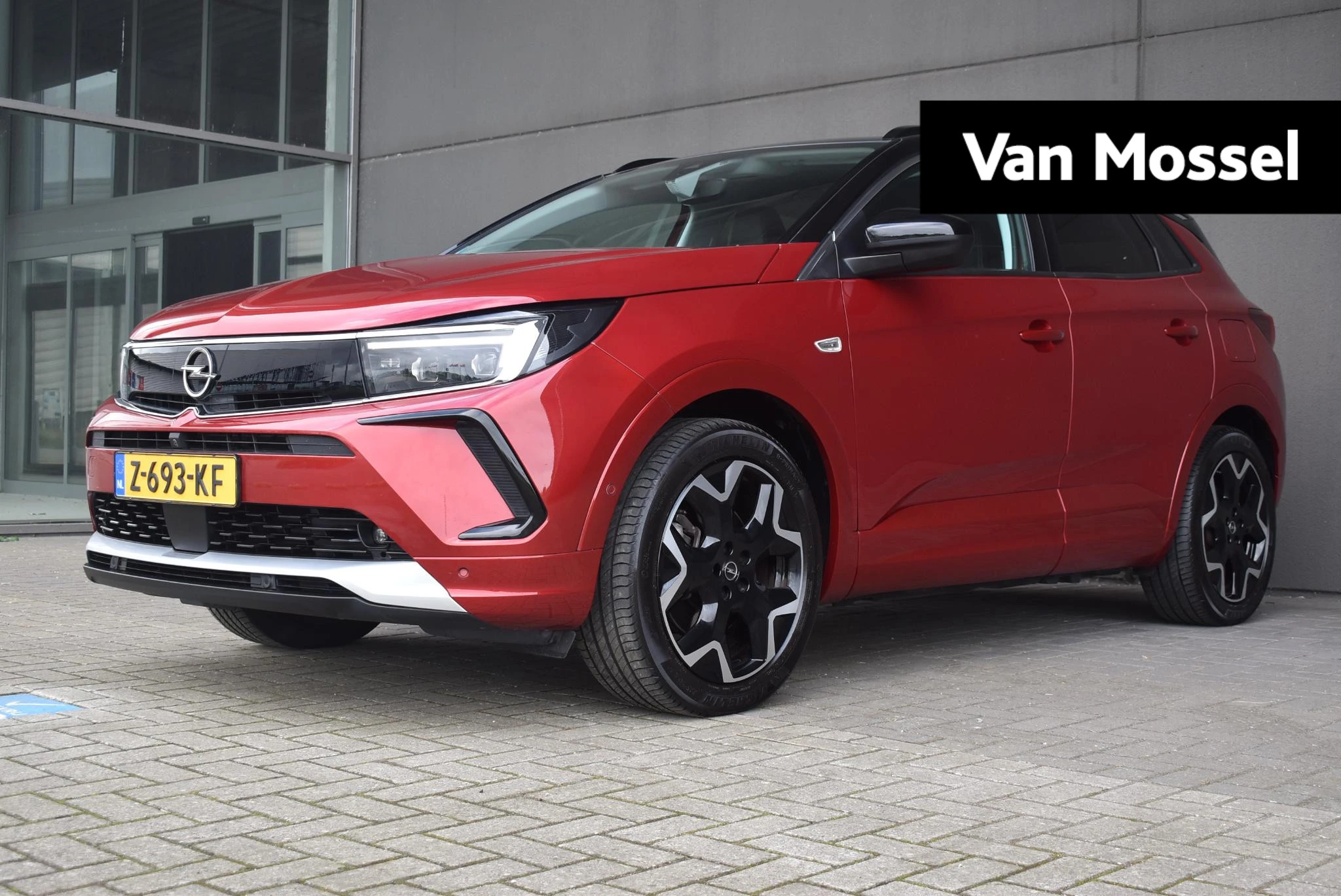 Opel Grandland met kenteken 56 – autofoto 2